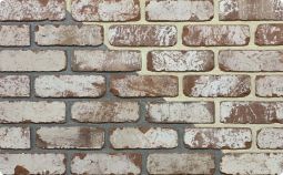 red flashed brick, reclaimed brick, red brick with white spots, old looking brick, used brick, extruded brick,cladding,extruded cladding